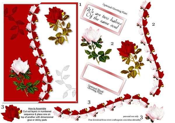 LES JOLIES PLANCHES DE LISBETH